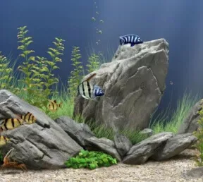Камень для декора аквариумов